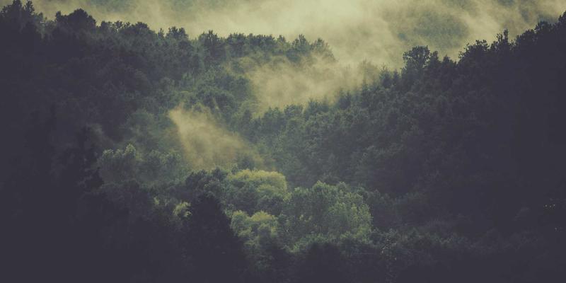 揭秘光伏智造核心：湖北长虹伺服系统如何实现串焊机毫秒级同步控制